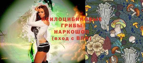 mdpv Заволжск