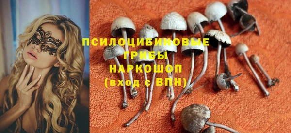 таблы Заводоуковск