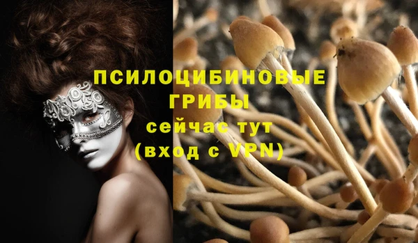 mdpv Заволжск