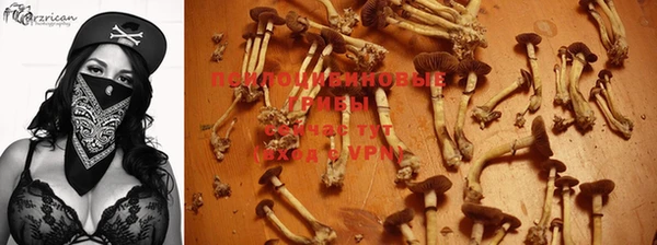 таблы Заводоуковск