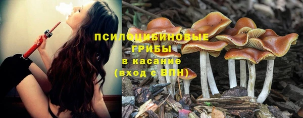 мдма Заволжье