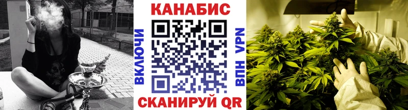 Конопля сатива  где продают   Нефтеюганск 